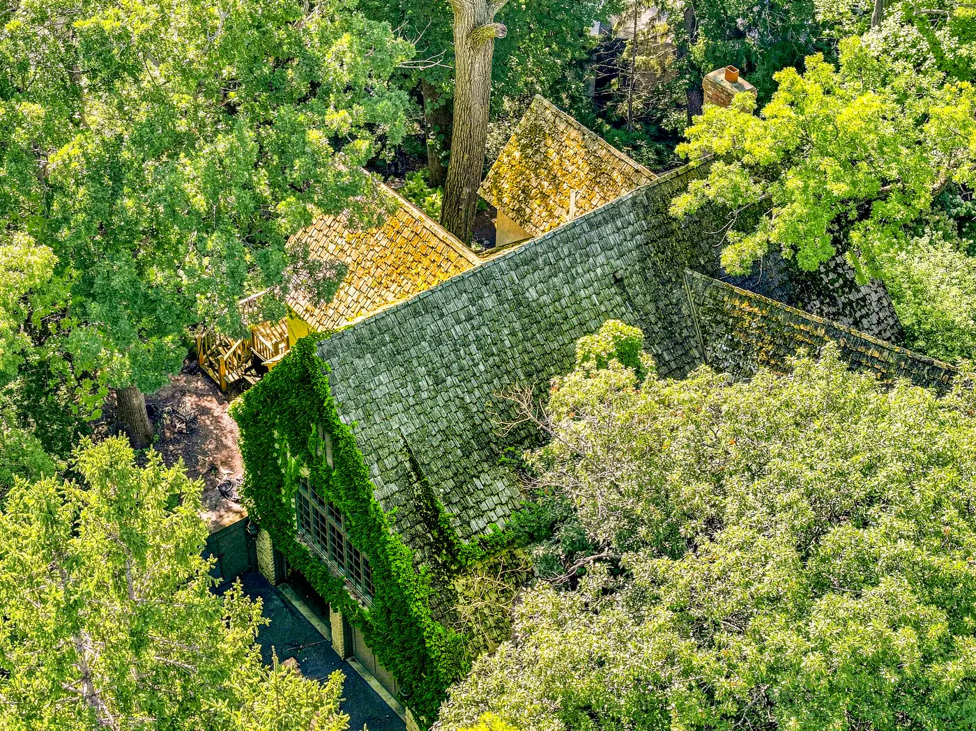 Before — Ivy-covered gable end