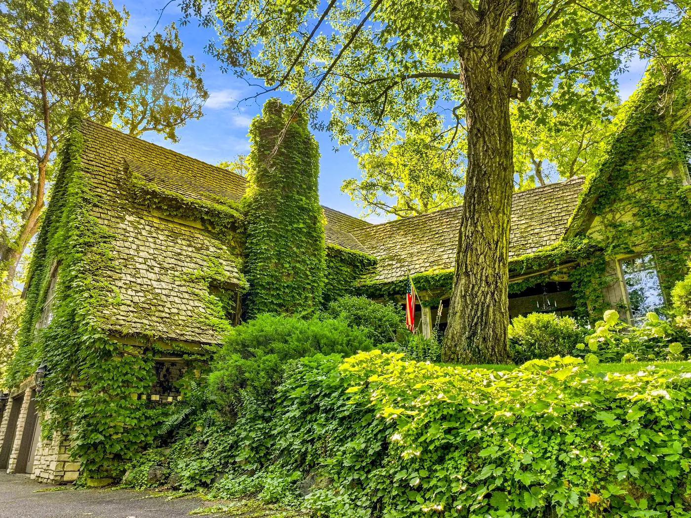 Before — Street view — plantings untouched
