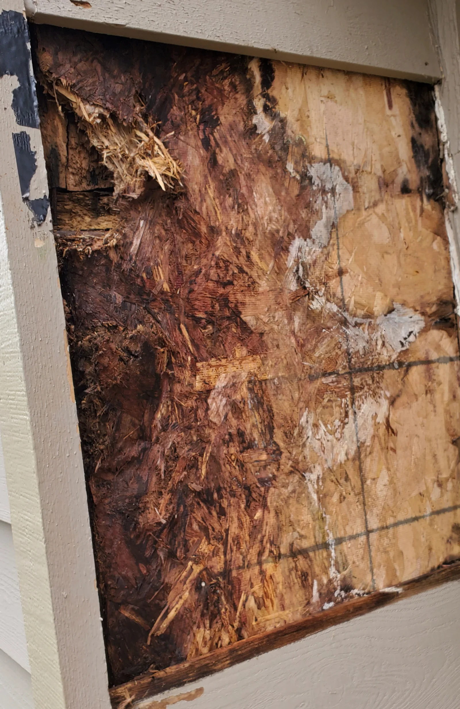 Siding Rot: Photos and Inspection Questions — archived photo 11