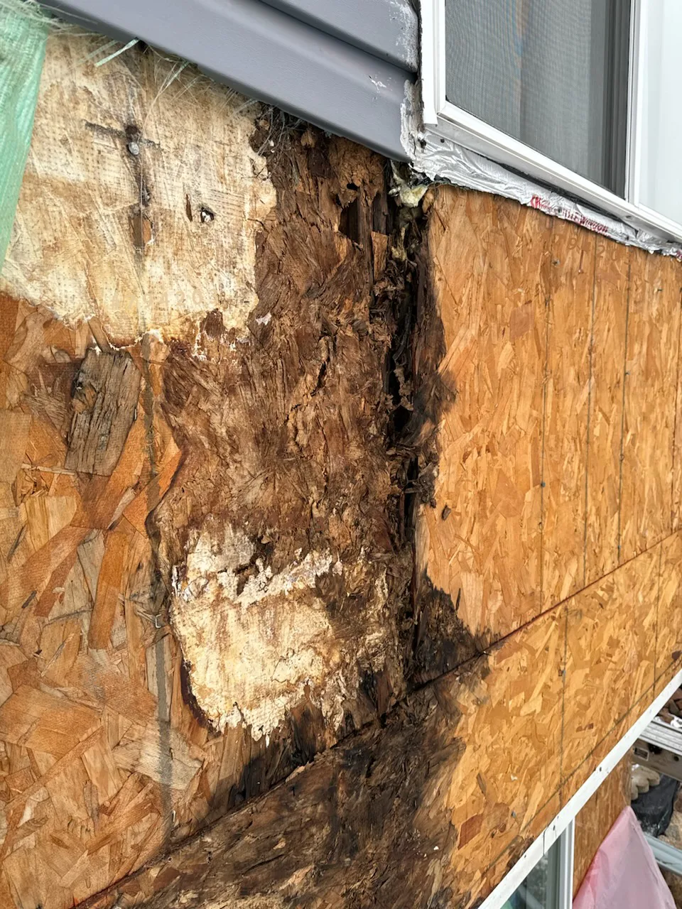 Cracks in Your Walls: Document the Changes — archived photo 2