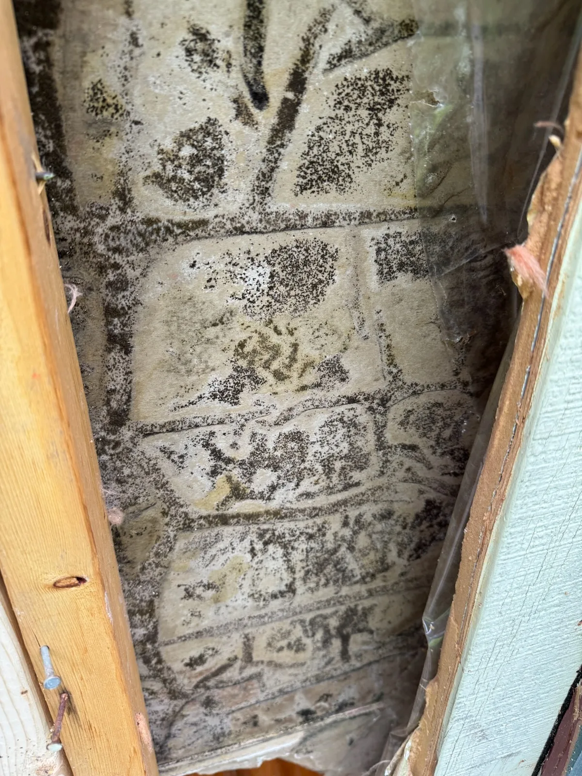 Siding Rot and What It Looks like
