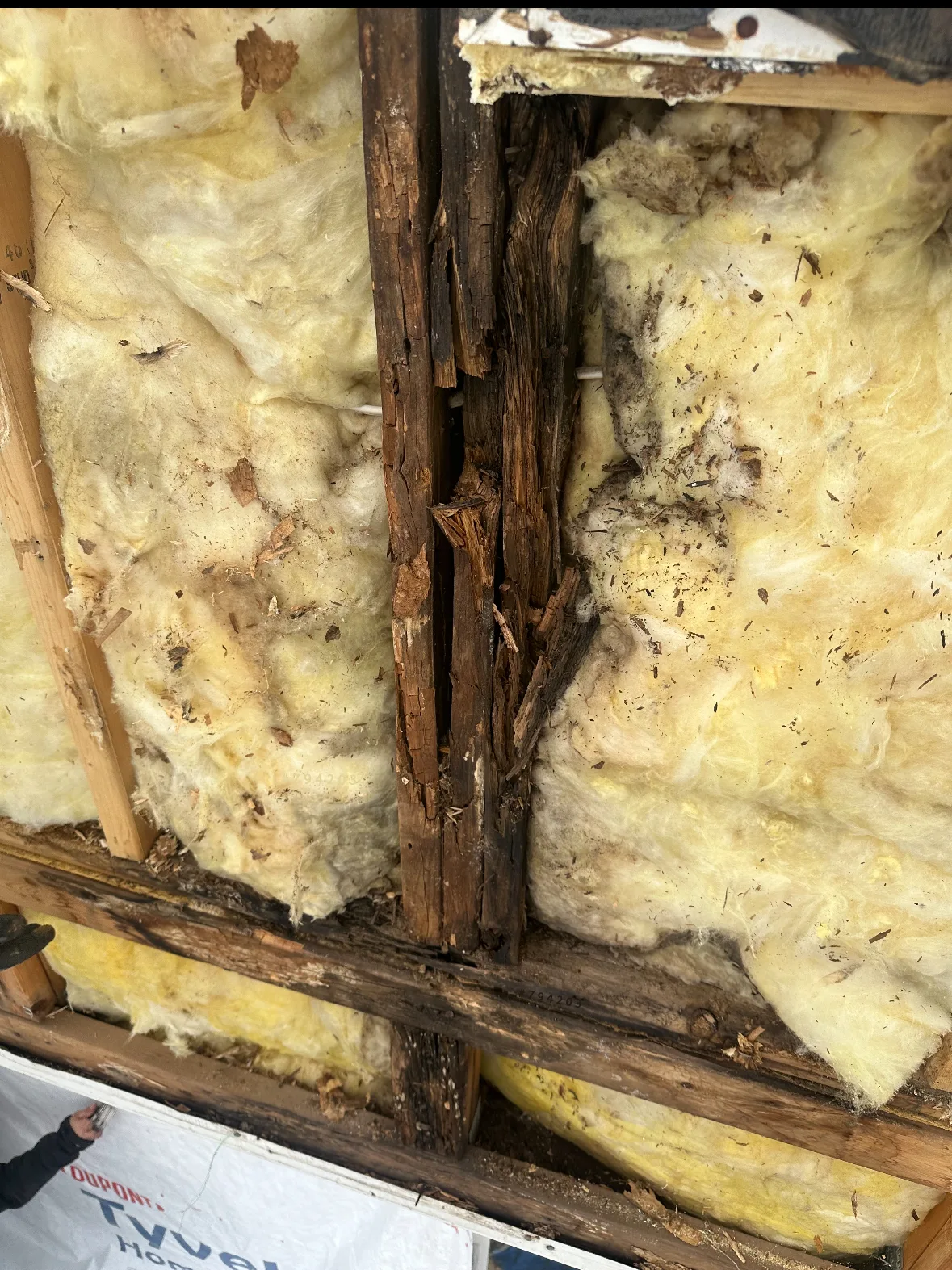 Siding Rot: Photos and Inspection Questions — archived photo 9