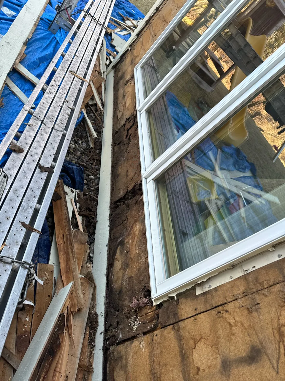 Siding Rot: Photos and Inspection Questions — archived photo 14