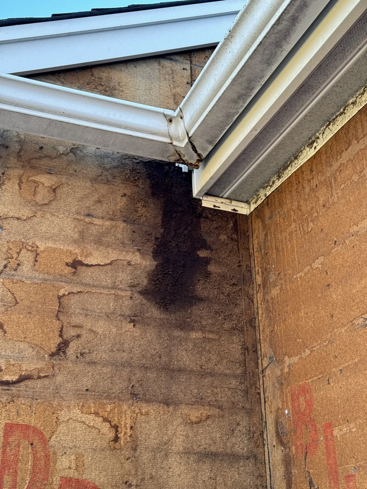 Siding Rot: Photos and Inspection Questions — archived photo 2