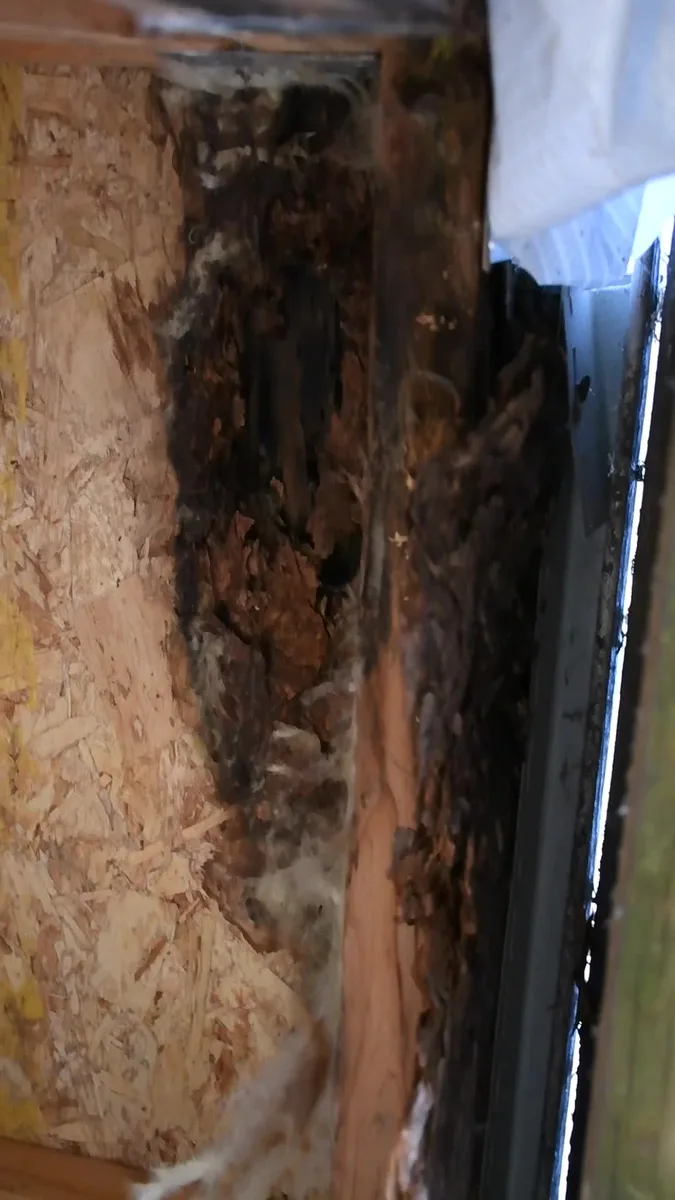 Inspection detail — exposed and deteriorated wall sheathing.