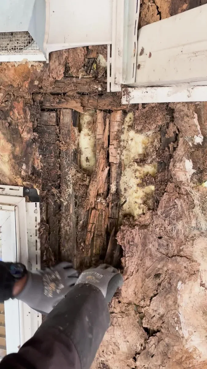 Inspection detail — exposed wood beside the window.